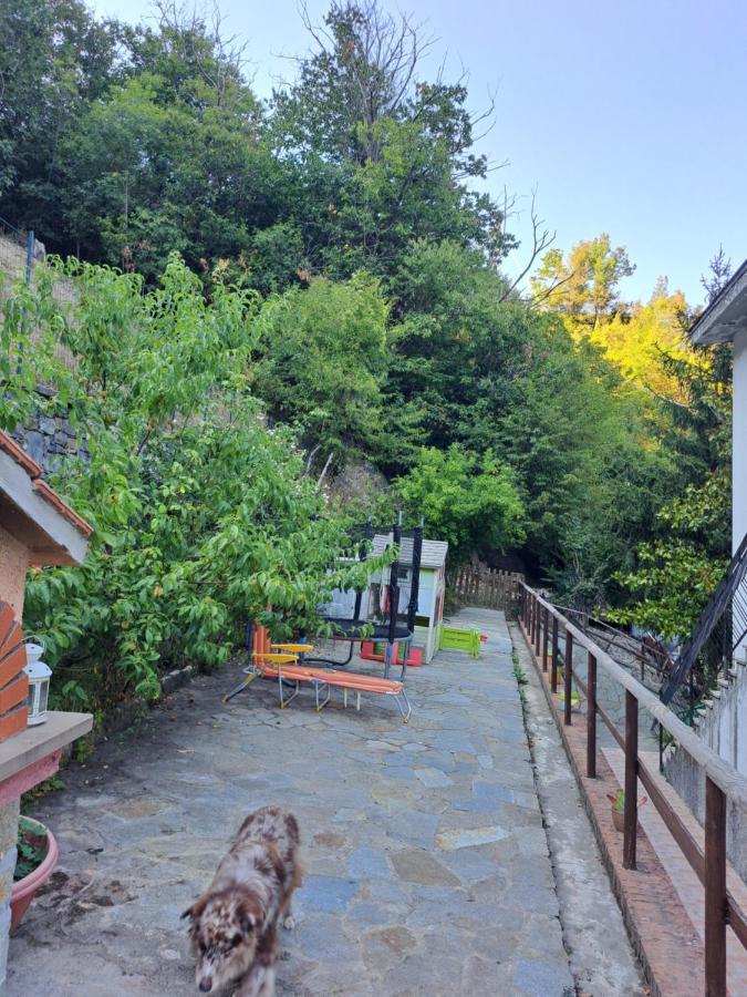 The Giaggiolo'S House Daire Serra Rocco Dış mekan fotoğraf